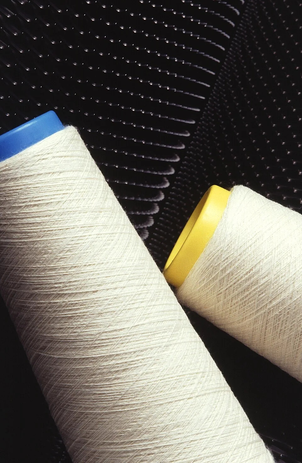 Cuộn sợi cotton pha trước khi dệt